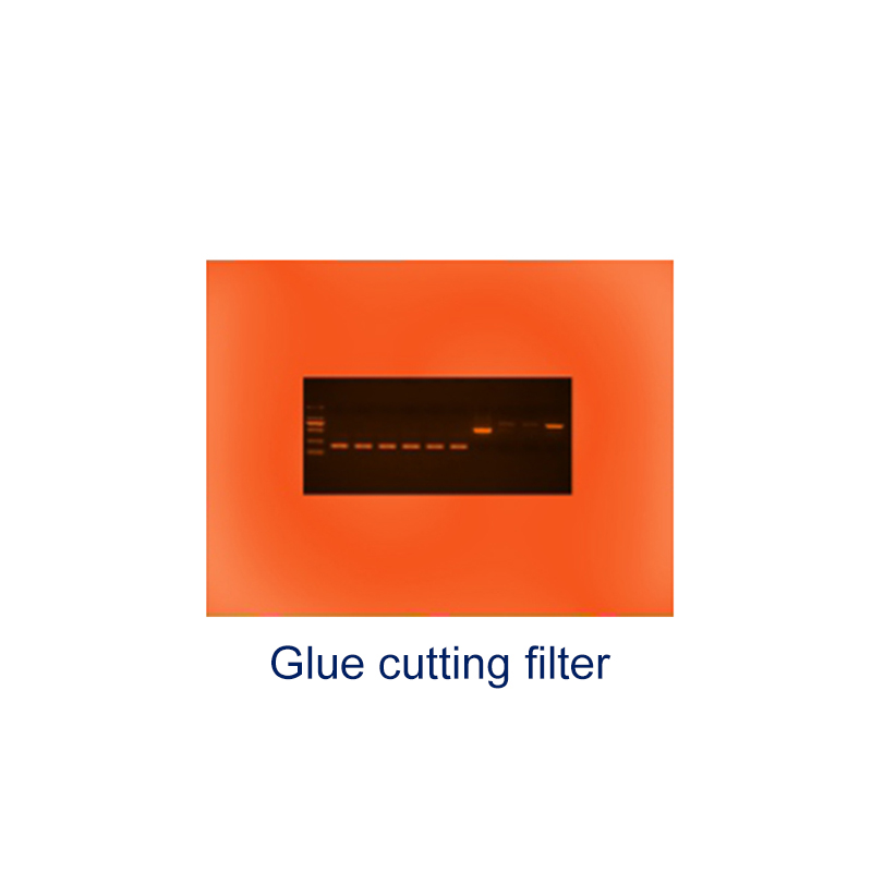 biobase/2587-202209241026323952.jpg