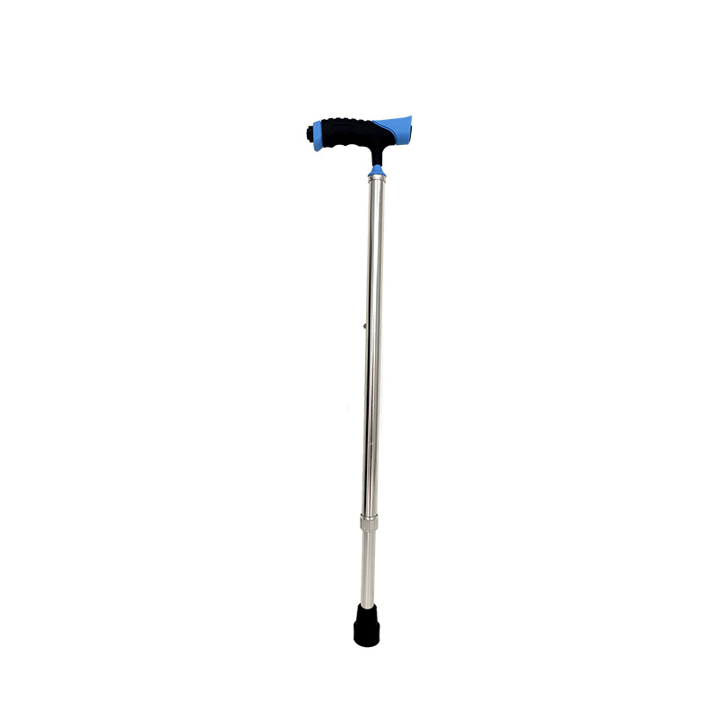 biobase/2587-202409251003350365.jpg